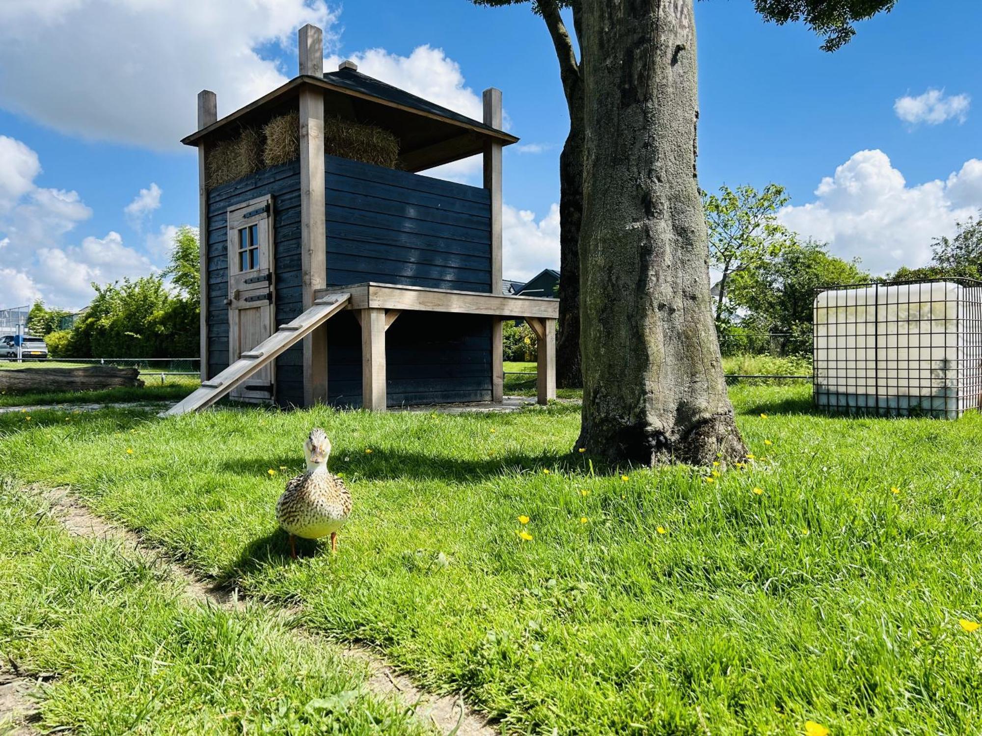Bungalowpark De Horn - Floresta 215 Dirkshorn Dış mekan fotoğraf